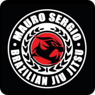 Logo de MSBJJ ACADEMY